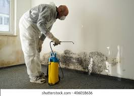 Best Biohazard Mold Removal  in Kingsley, IA